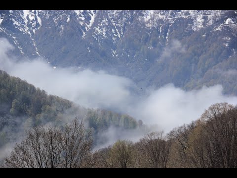 Видео: Туман, сляды мядзьведзя і ачмурэнныя аблокі пад намі ў паходзе да вяршыні Скурда 18 красавіка 2025