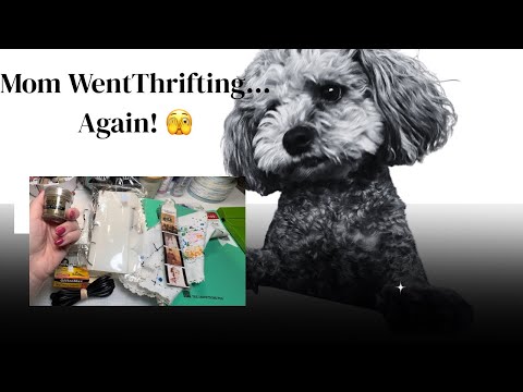 Видео: Секонд-хенд из Канзаса! Столько всего интересного!!