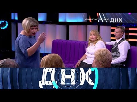 Видео: ДНК . Выпуск от 26.09.2025 - «Кошкин „нагулял“ дочь » - FULL HD