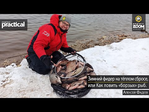 Видео: Зимний фидер на тёплом сбросе, или Как ловить «борзых» рыб. Алексей Фадеев. Anglers Practical