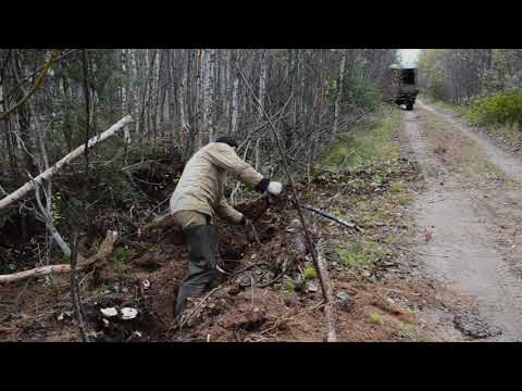 Видео: МЕТАЛЛОКОП!!!!  ОДИН В ЛЕСУ С НОЧЕВКОЙ,КОПАЮ Р......!!!!