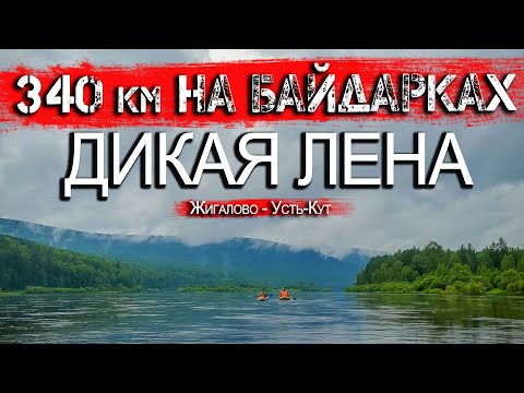 Видео: Дикая река. Рыбалка,медведи, косули, изюбры.