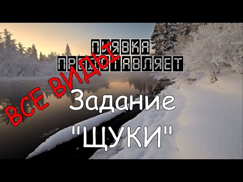 Видео: ВСЕ ВИДЫ ЩУК ловим на разных локациях #MyFishingworld