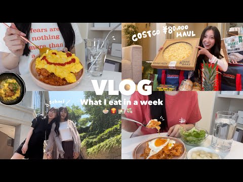 Видео: 【Vlog】Недельный влог, который уравновешивает YouTuber и студентов колледжа.🏫Покупки Costco💸🍟