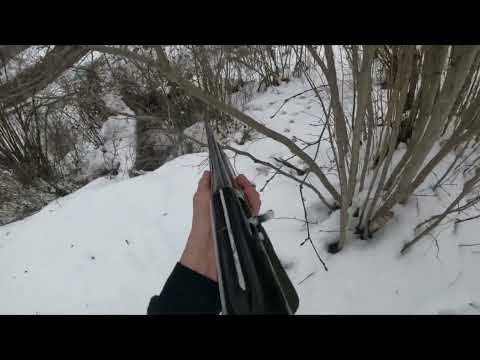 Видео: Снежный след к лежке кабана #охотничьяжизнь #охотанадикогокабана #охотанадикогокабана