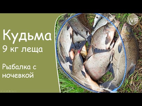 Видео: Ловля леща на малой реке! Рыбалка с ночевкой. Что делать, когда не работает мотыль и опарыш...