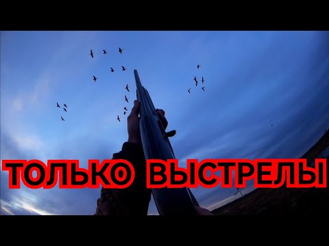 Видео: #ОХОТА НА ГУСЯ #ЛУЧШИЕ НАЛЕТЫ# ОСЕННЯЯ ОХОТА НА ГУСЯ#