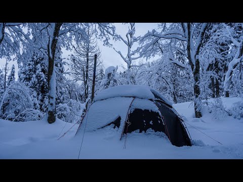 Видео: Одиночный поход в сильный снегопад, заваливший палатку