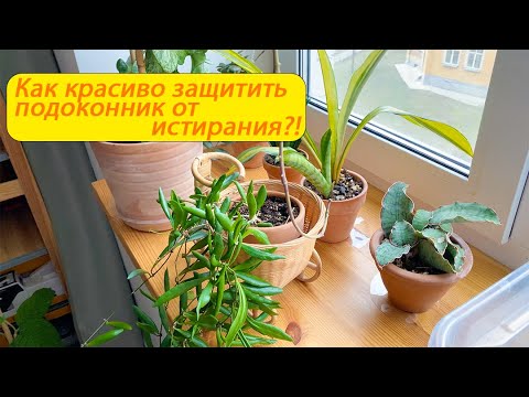 Видео: Как красиво защитить подоконник от истирания?!