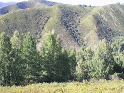 Видео: ЧАРЫШ.wmv