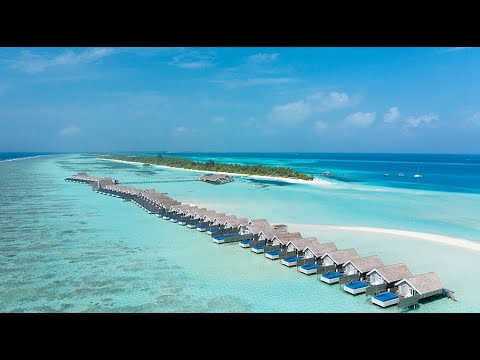 Видео: Вебинар с отелем Lux* South Ari Atoll