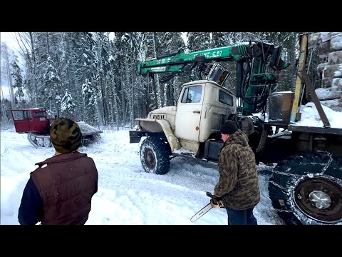 Видео: Трудности ВЫВОЗА ЛЕСА из Новой Делянки! Лесовоз Урал едва справляется! ТДТ 55 в Помощь!