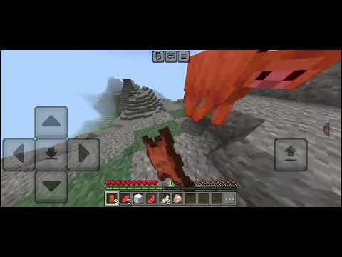 Видео: 9 ноября 2025 г.