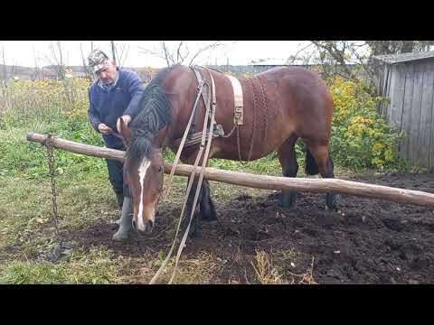 Видео: Хмара працює самостійно.
