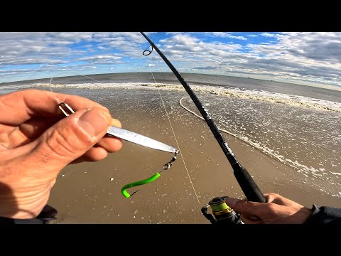 Видео: Осенняя рыбалка на полосатого окуня в Нью-Йорке