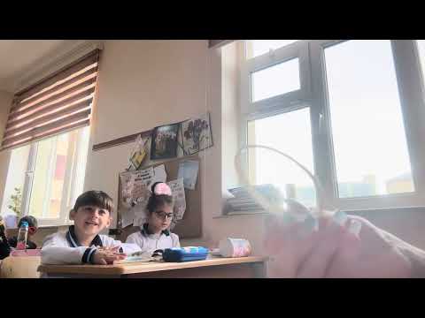 Видео: Диаграмма Эйлера-Венна. Русский язык. 1 класс