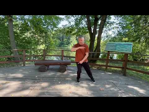 Видео: Видеоурок.  "Облачные руки" Тайцзицюань