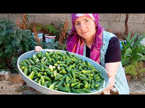 Видео: СОЛЕНОК, КОТОРЫЙ ПОЛУЧАЕТ МНОГО ЗАПРОСОВ ОТ МЕНЯ ▶ Маринованный огурец-корнишон