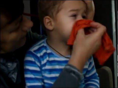 Видео: Чих-пых. Любимый братик и каланхоэ. Лечимся народной медициной