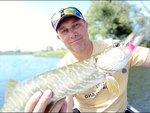 Видео: Спиннинг   Ратлины которые ловят Щуку и Окуня