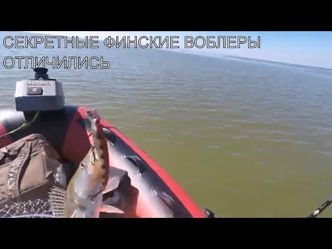 Видео: ТРОЛЛИНГ СУДАКА. СЕКРЕТНЫЕ ФИНСКИЕ ВОБЛЕРЫ ОТЛИЧИЛИСЬ