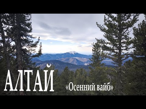 Видео: Осенний Алтай, дорога на каракольские озера, Ороктойский мост