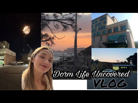 Видео: Общежитие в Корейском Университете | Полный обзор😱 한국 대학 기숙사 리뷰