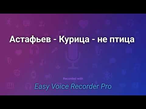 Видео: Астафьев   Курица   не птица