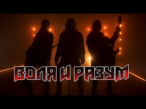 Видео: ВОЛЯ И РАЗУМ - "Воля и Разум"