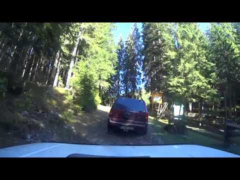 Видео: Буковинське ОКО