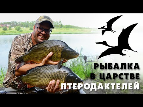 Видео: Рыбалка в царстве птеродактилей.