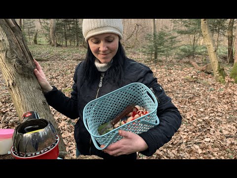 Видео: Готую у лісі (серія 8). Збираю весняні гриби та рослини для приготування сніданку в лісі/SARCOSCYPHA