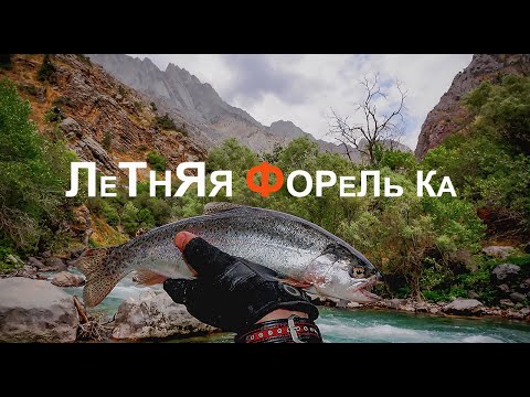 Видео: Летняя форель. Коксу 2021