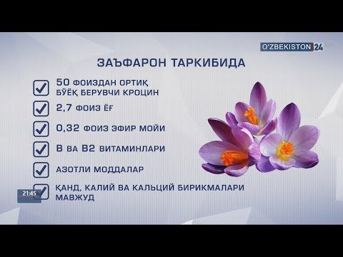 Видео: Жиззахда заъфарон ўсимлигини етиштириш истиқболлари