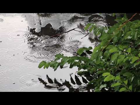 Видео: Дьулустан Иванов - Ардахтаах сарсыарда