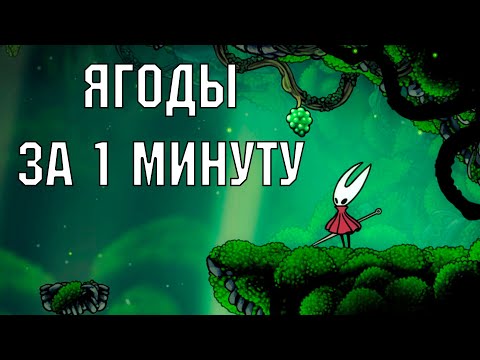 Видео: Где найти ягоды в Silksong?? | Квест на сбор ягод для друида