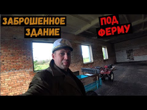 Видео: ЗАБРОШЕННОЕ ЗДАНИЕ ПОД ФЕРМУ, ОТКОРМ БЫКОВ, В ПОИСКАХ ТРАВЫ