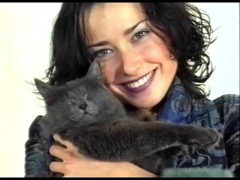 Видео: "Омские истории". 1 серия. 2001 год. Антенна-7. г.Омск