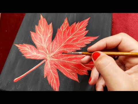 Видео: Осенний красный лист на чёрном фоне