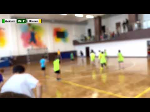 Видео: 20251029 Цыплята - Нолики