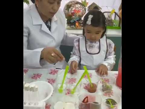 Видео: "Судың қасиеті"