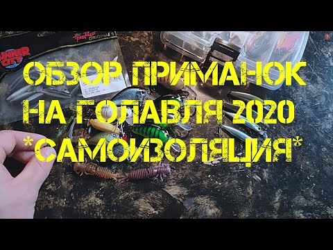 Видео: ОБЗОР ПРИМАНОК НА ГОЛАВЛЯ,ЖЕРЕХА 2020! *САМОИЗОЛЯЦИЯ*