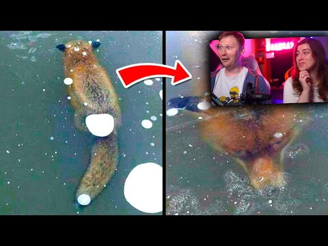 Видео: Поразительные Находки Во Льду | РЕАКЦИЯ на WTFакт
