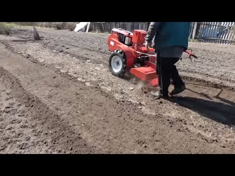 Видео: УСТАНАВЛИВАЕМ  ФРЕЗУ И ФРЕЗЕРУЕМ МОТОБЛОКОМ . ..