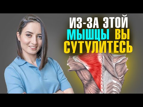 Видео: ЭТА мышца зажата у 90% людей | 5 ПРОСТЫХ упражнений, чтобы ЭТО исправить