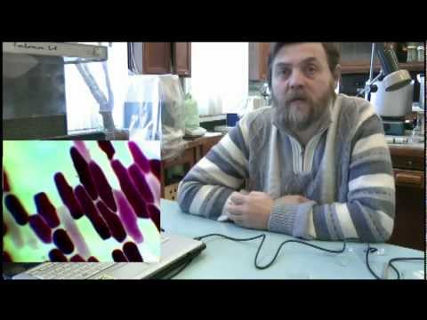 Видео: Плазмолиз и деплазмолиз