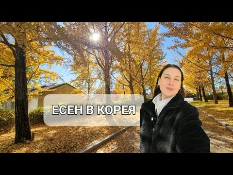 Видео: Корея Влог / Разходки / Отговарям на ваши коментари 