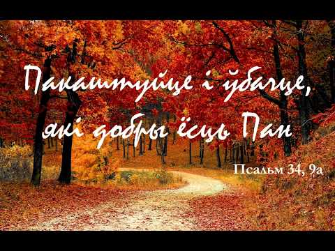 Видео: Каштуйце і глядзіце