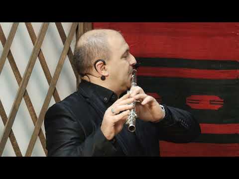 Видео: ВЕКОВНИ НОТИ со Ѓоше Ефтимов