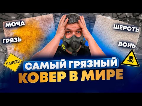 Видео: Самый СЦАНЫЙ ковер в МИРЕ! Удаляем запах мочи с ковра. Дарим вторую жизнь ковру.